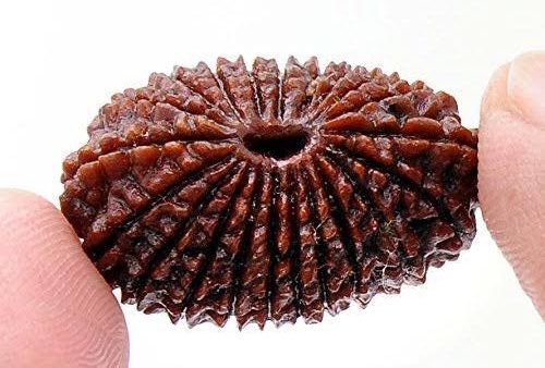 डाऊझिंग पेंडुलम